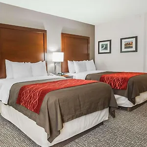 Comfort East Denver